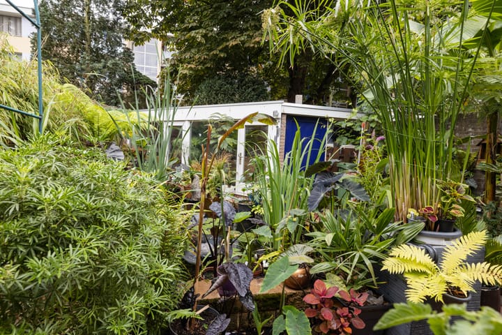 Foto 29 van van Voorststraat 8