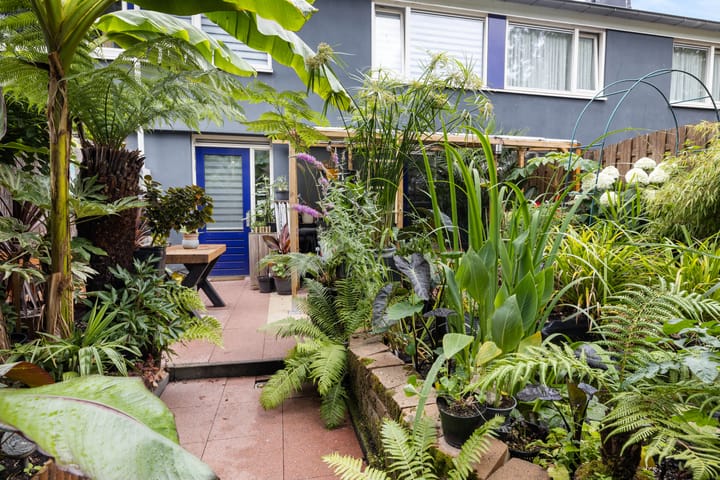 Foto 31 van van Voorststraat 8