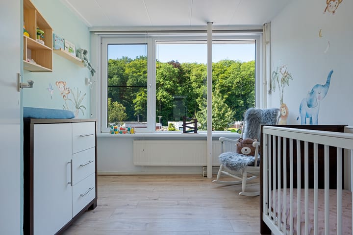 Foto 30 van Dunantstraat 11