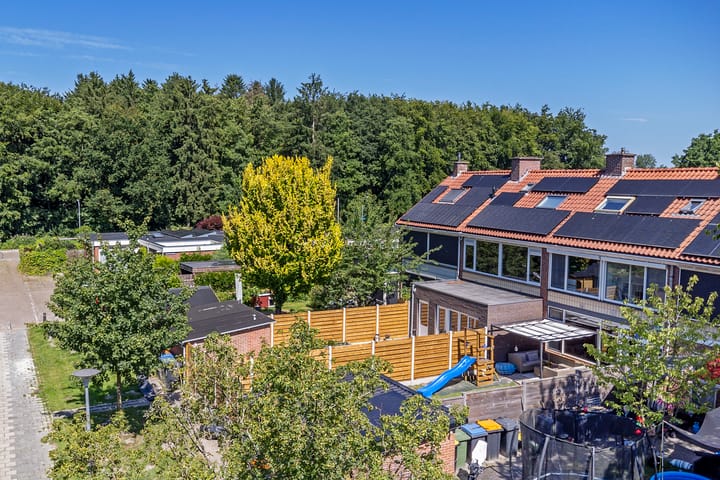 Foto 39 van Dunantstraat 11