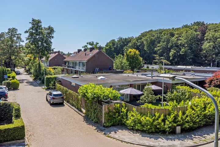 Foto 42 van Dunantstraat 11