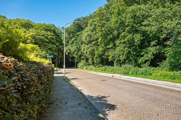 Foto 43 van Dunantstraat 11