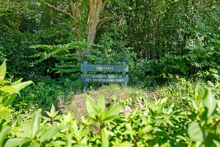 Foto 46 van Dunantstraat 11