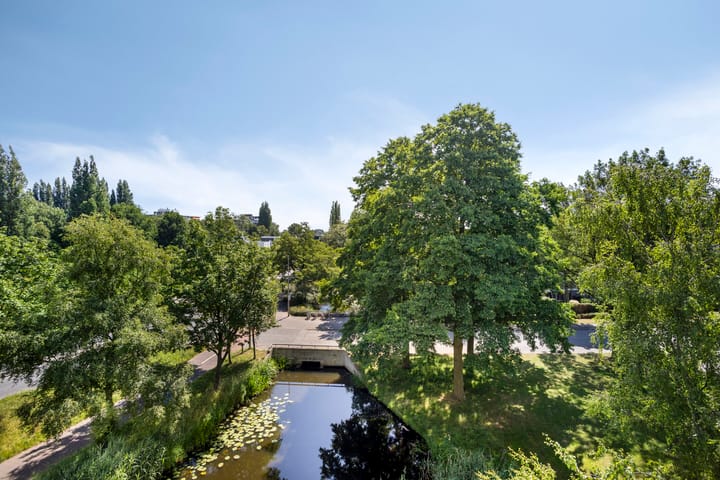 Foto 7 van Logger 42