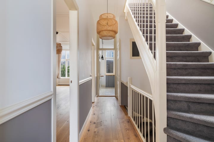 Foto 8 van Van Loostraat 64