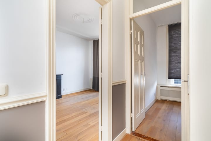 Foto 9 van Van Loostraat 64