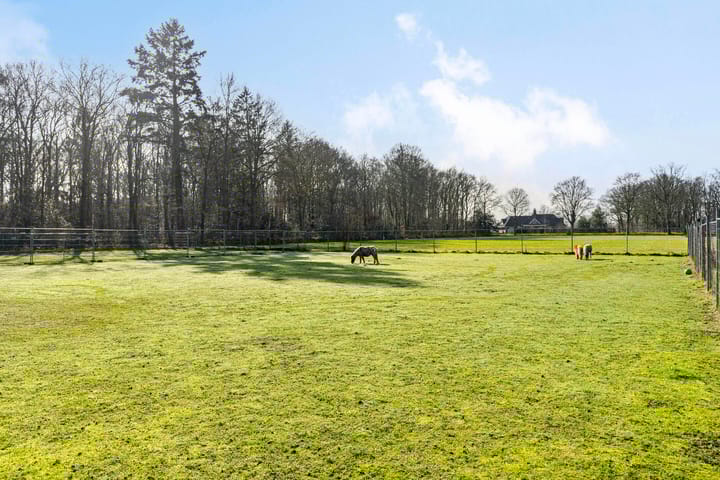 Foto 44 van Boslaan 37