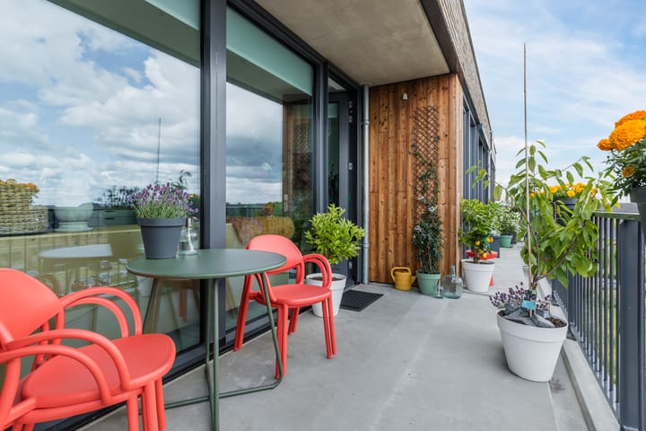 Foto 22 van Broekland 44