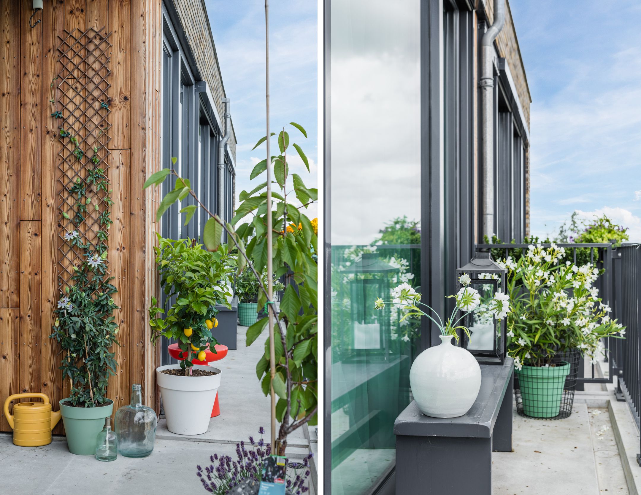 Photo 24 of Broekland 44