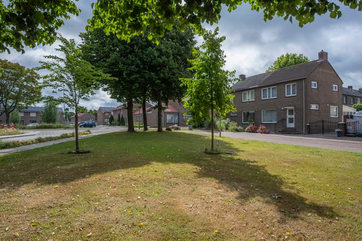 Foto 25 van Saroleaplantsoen 1