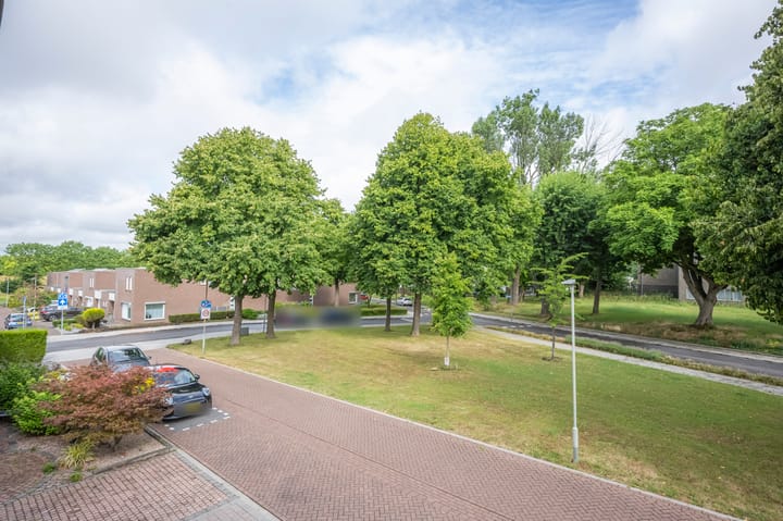 Foto 26 van Saroleaplantsoen 1