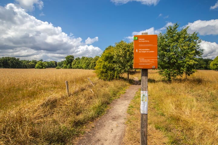 Foto 41 van Zandweg 20