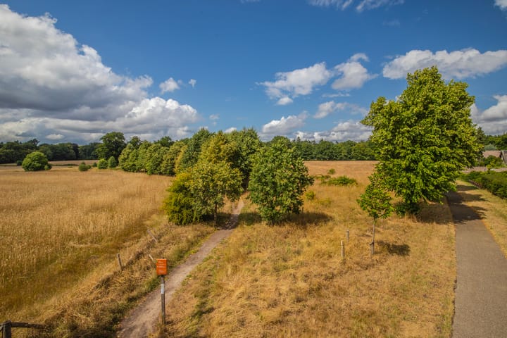 Foto 42 van Zandweg 20