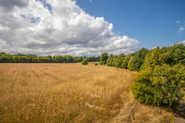 Foto 43 van Zandweg 20