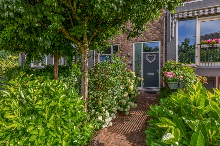 Foto 8 van Priamsingel 271