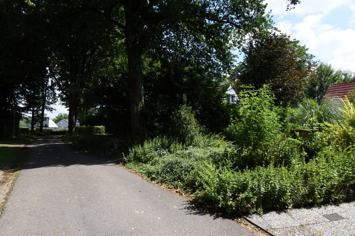 Foto 4 van Kruinweg 1-B058