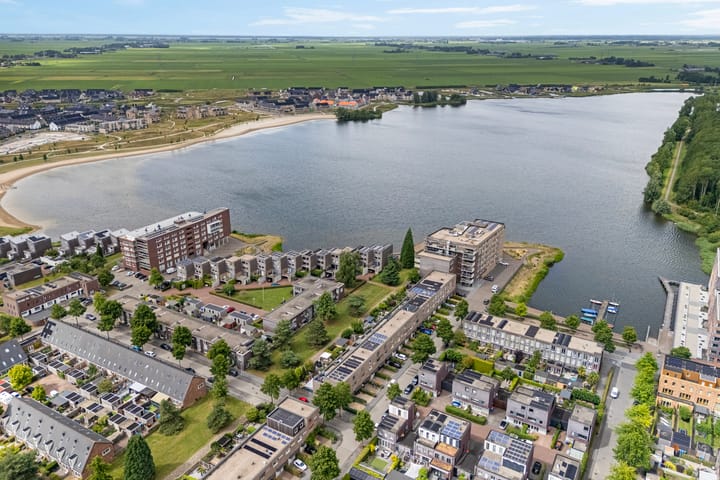 Foto 3 van Puntkroos 56