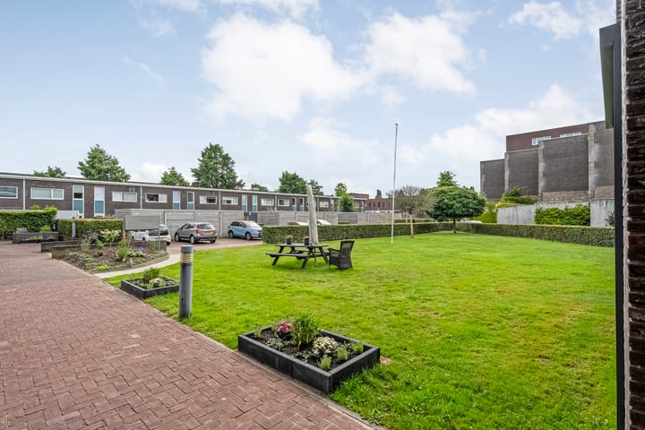 Foto 6 van Puntkroos 56