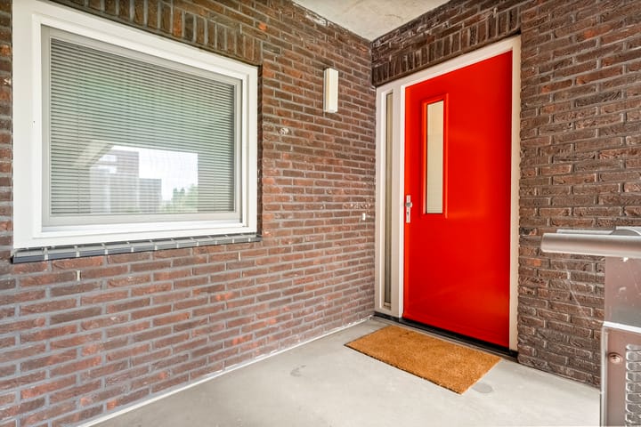 Foto 8 van Puntkroos 56