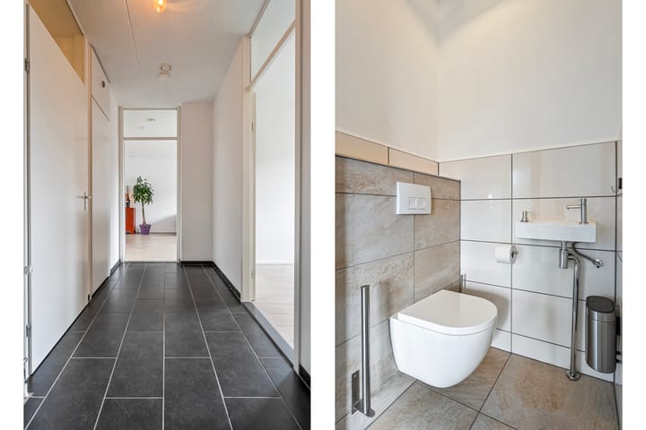 Foto 10 van Puntkroos 56