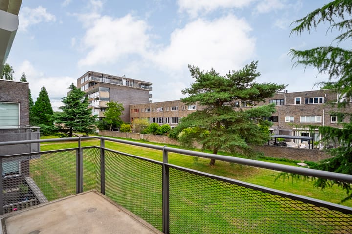 Foto 32 van Puntkroos 56