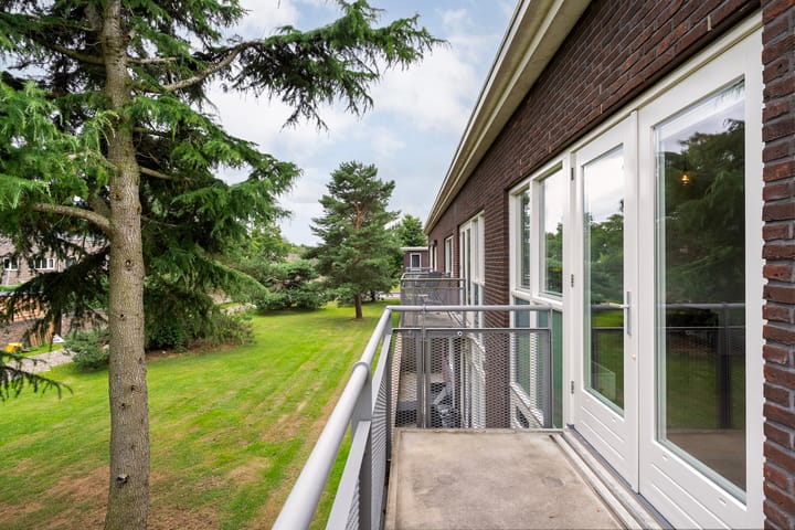 Foto 33 van Puntkroos 56