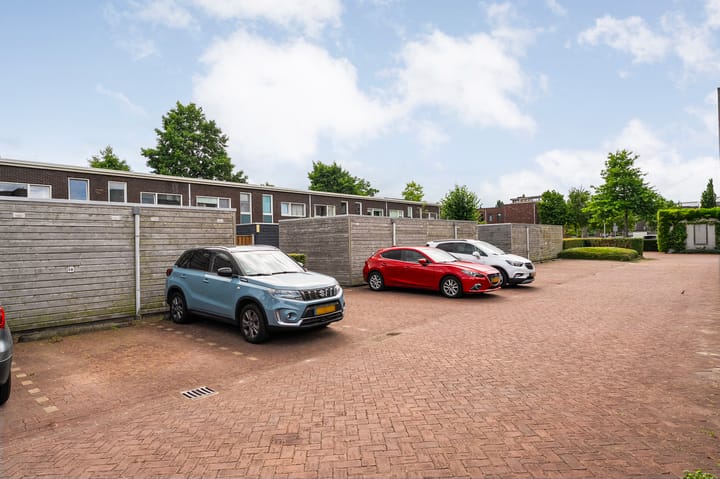 Foto 34 van Puntkroos 56