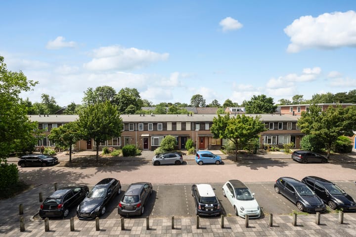 Photo 14 of Greuns 24