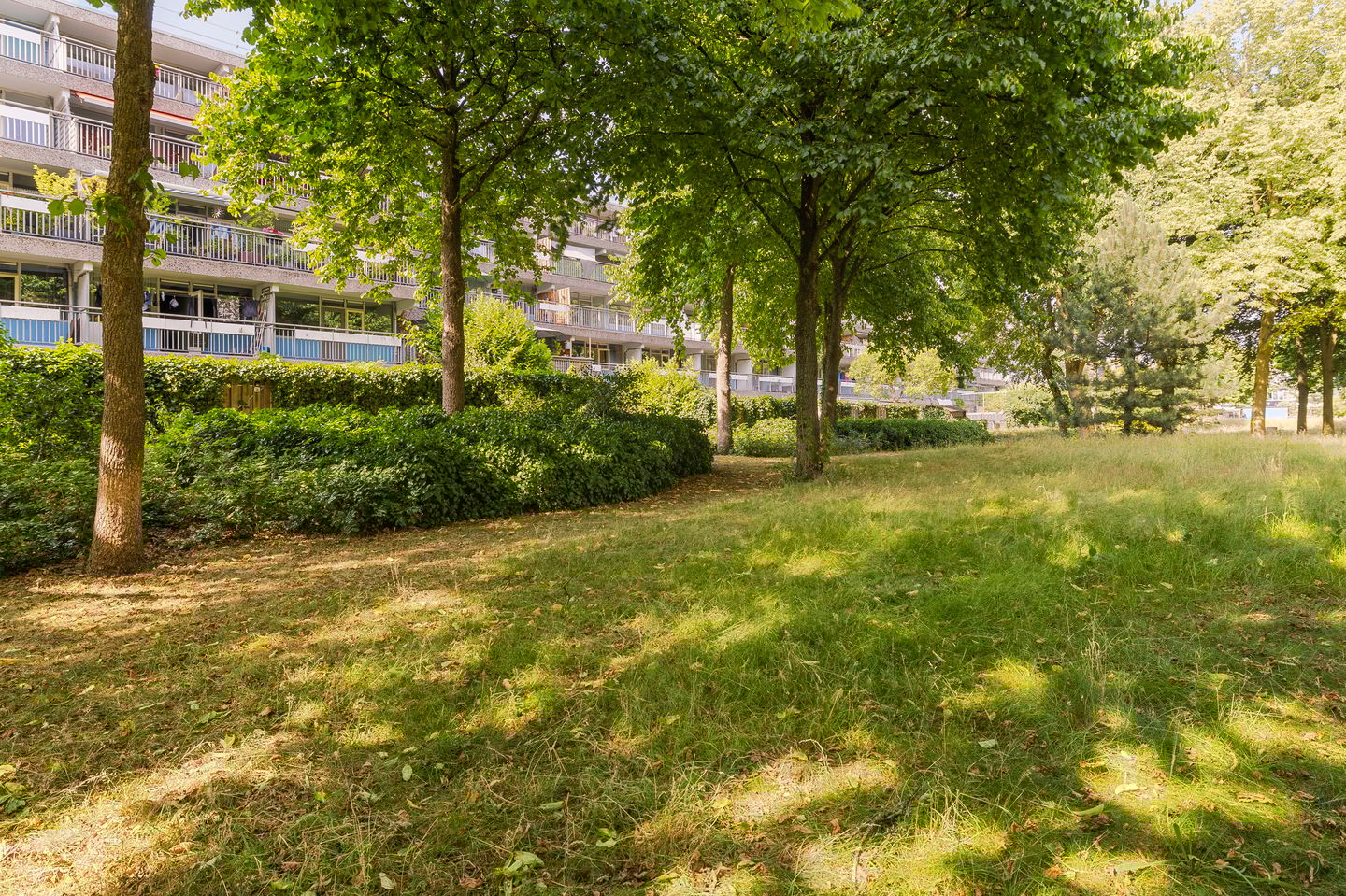 Foto 4 van Dubbelhof 57