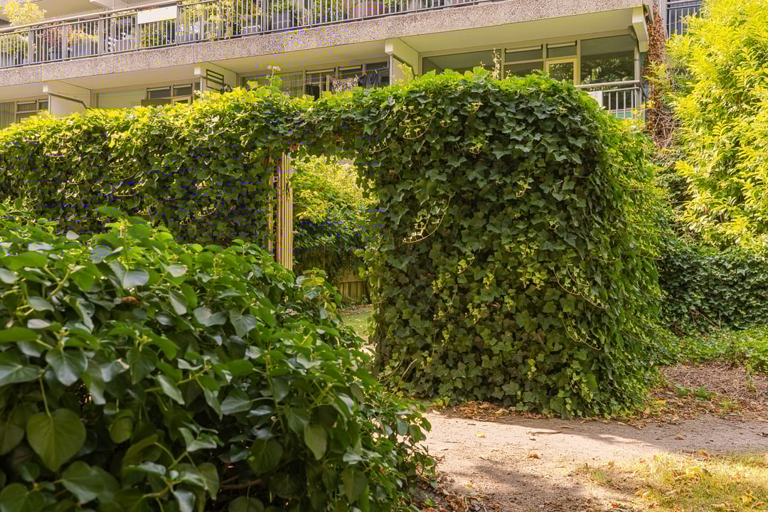 Foto 23 van Dubbelhof 57