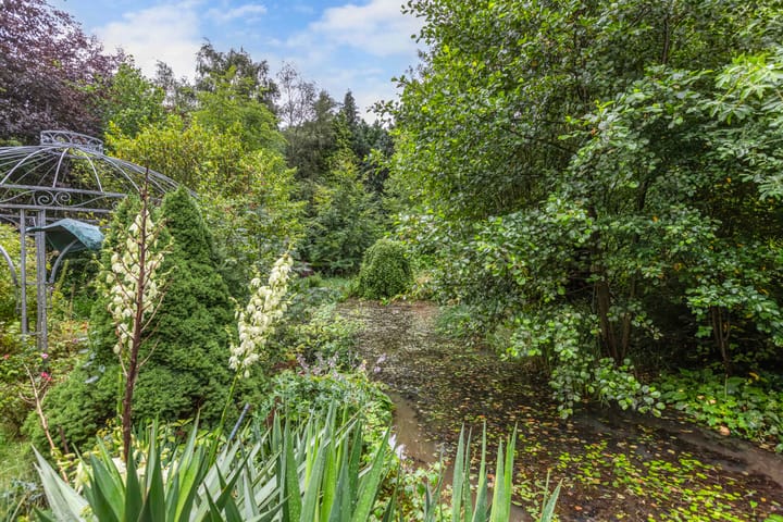 Photo 39 of Hoofdstraat West 74-A