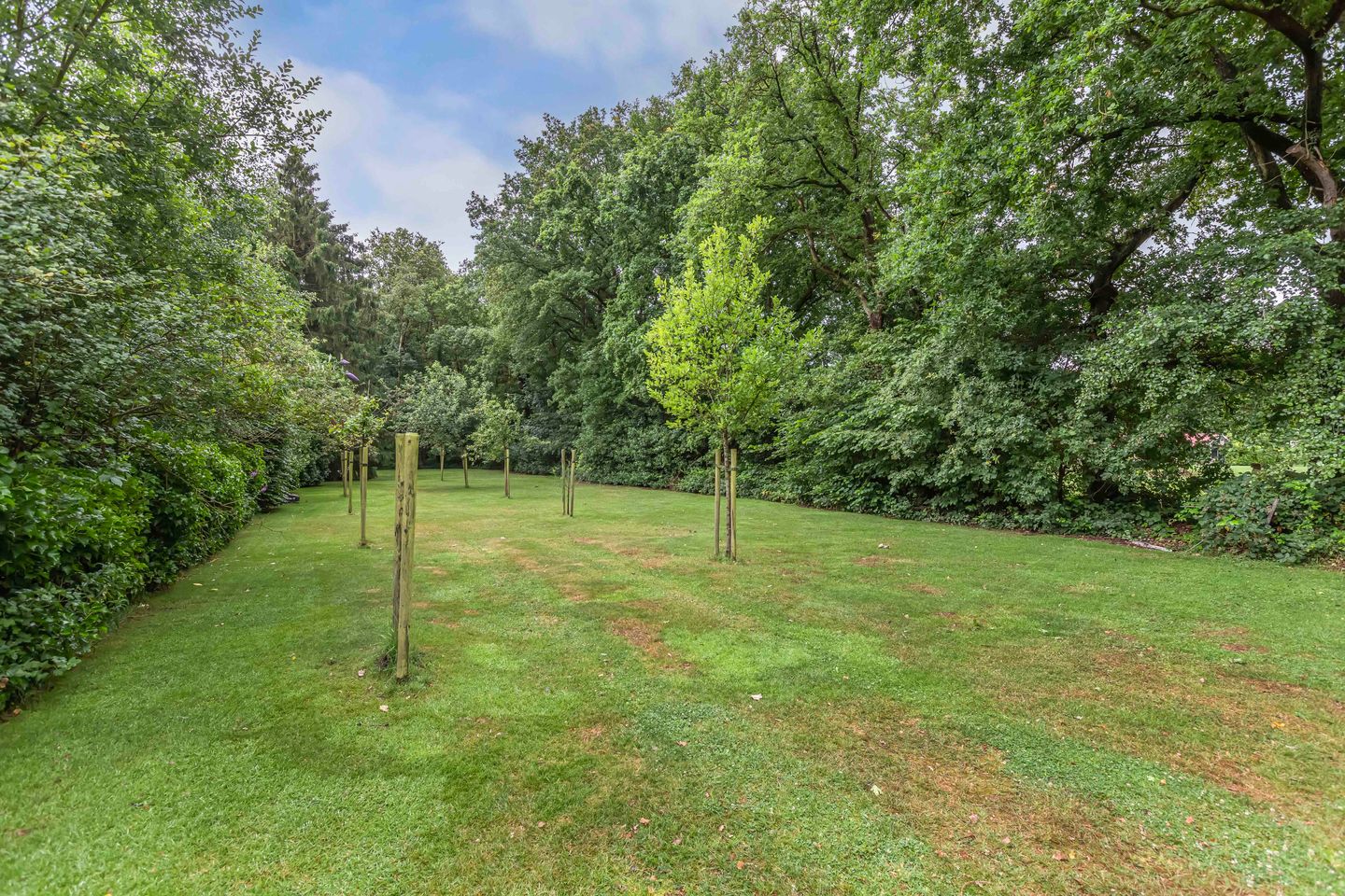 Foto 40 van Hoofdstraat West 74-A