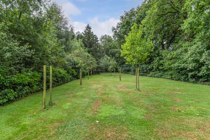 Photo 41 of Hoofdstraat West 74-A