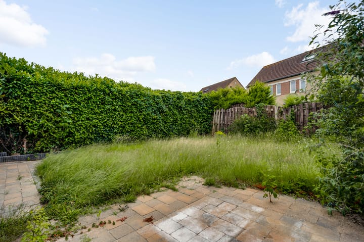 Foto 20 van Weefsterstraat 17