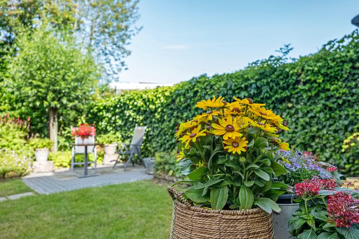 Foto 41 van Huygensstraat 37