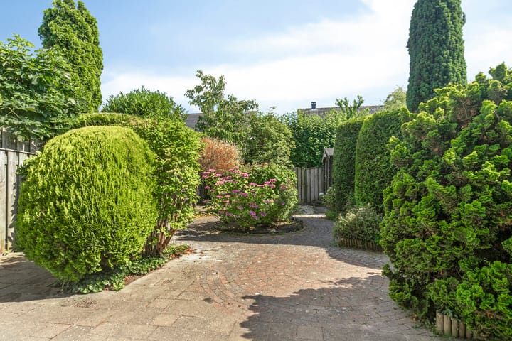 Foto 35 van Morellenstraat 10