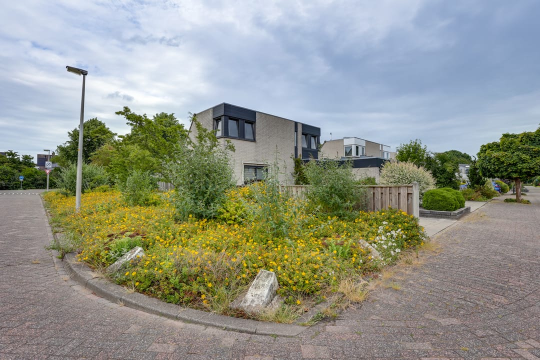 Foto 2 van De IJslander 70