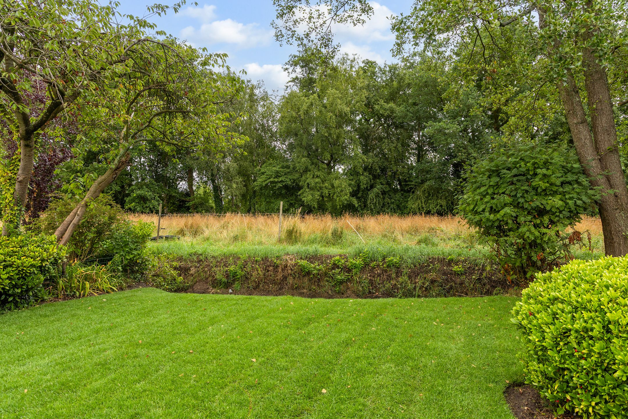 Foto 24 van Tolakkerweg 105