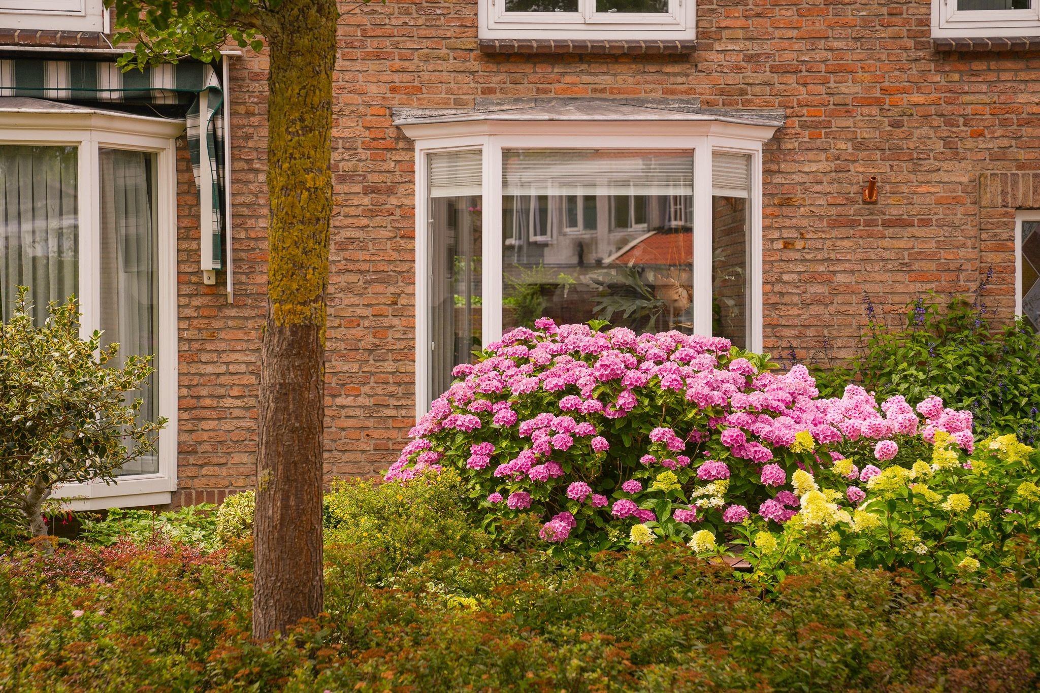 Foto 48 van Meerlaan 5