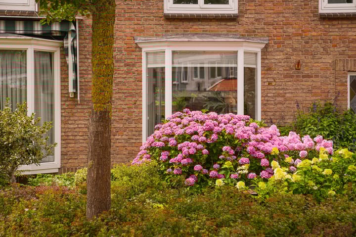 Foto 48 van Meerlaan 5