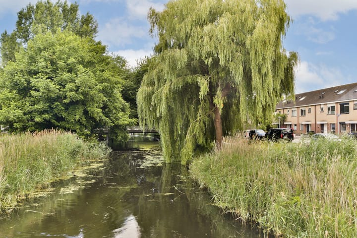 Foto 28 van Ravelplantsoen 50