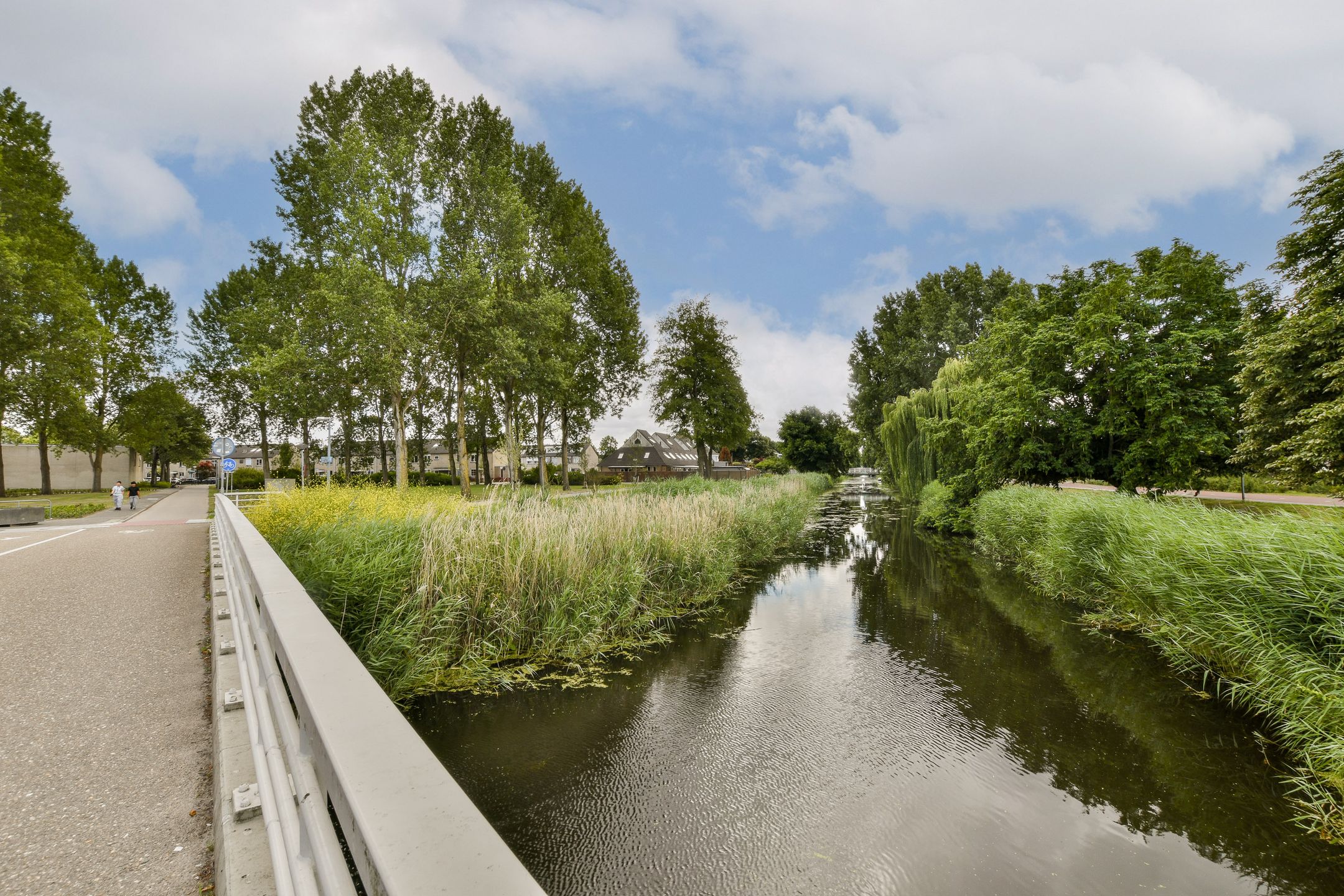 Foto 30 van Ravelplantsoen 50