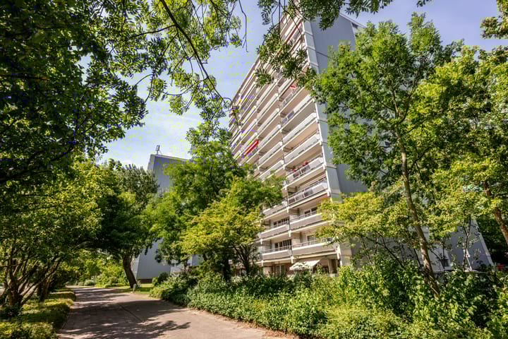 Foto 1 van De Roerdomp 150