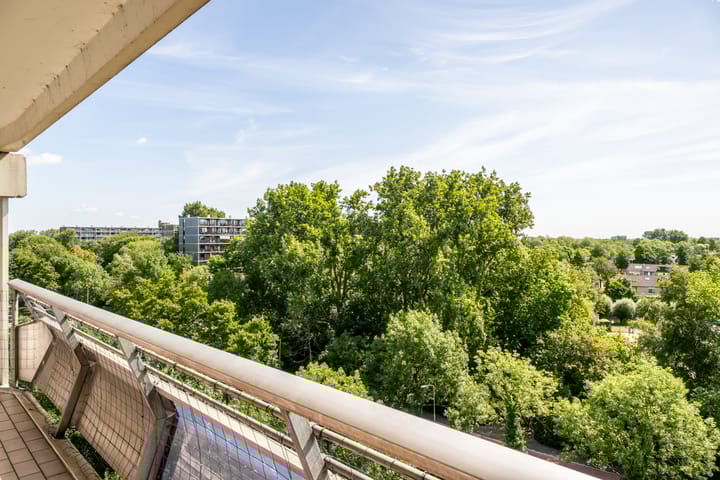 Foto 31 van De Roerdomp 150