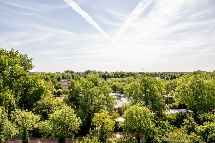 Foto 32 van De Roerdomp 150