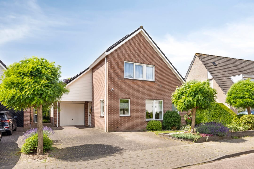 Foto 1 van Goudreinette 22