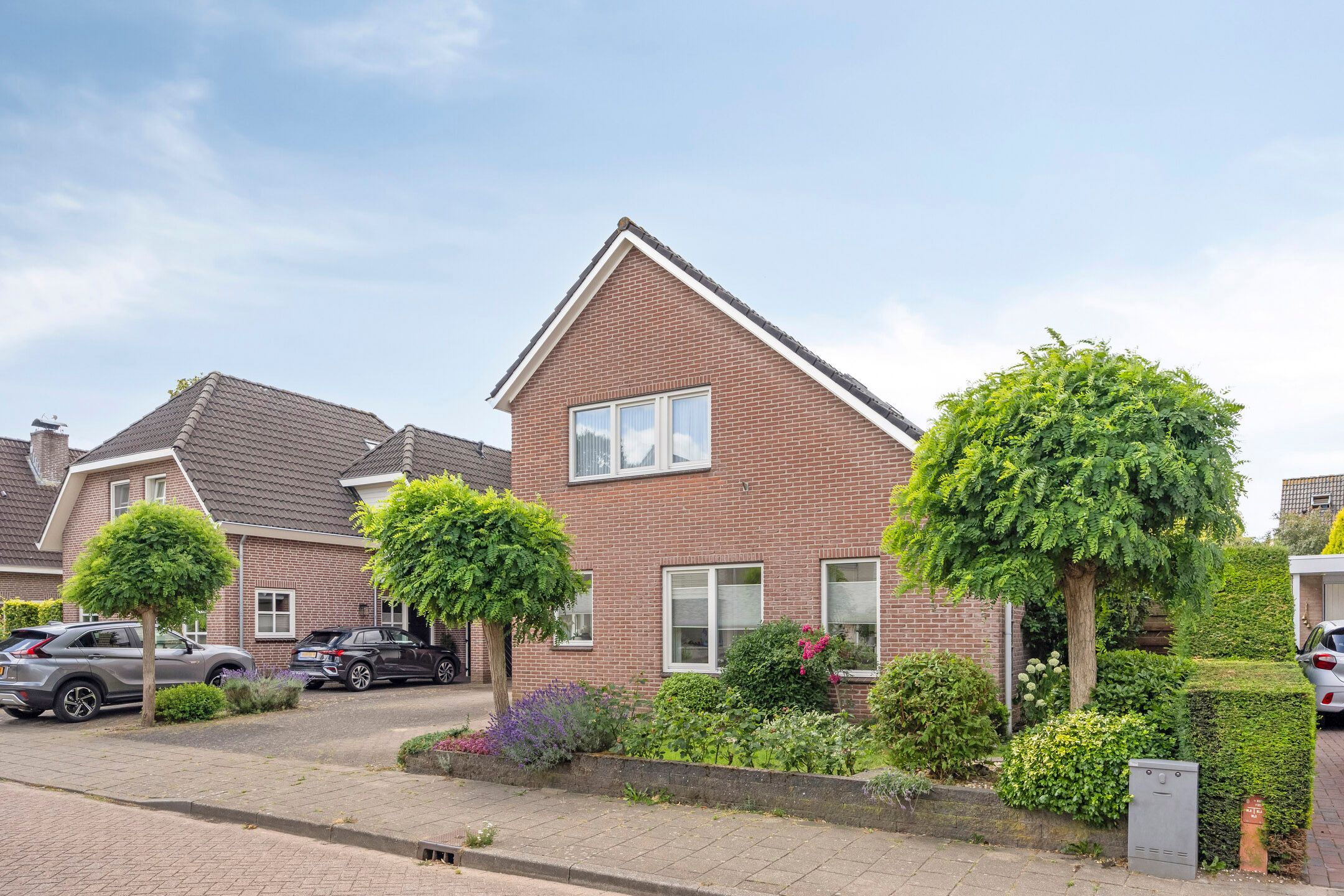 Foto 45 van Goudreinette 22