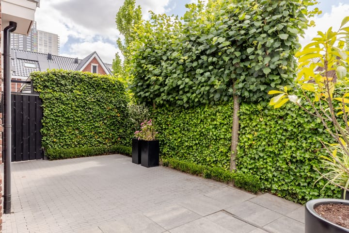 Foto 43 van Adriaan Prinslaan 12