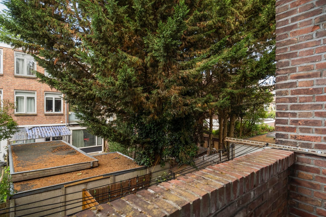 Foto 22 van Rijswijkseweg 419-A