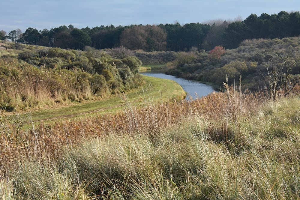 Foto 38 van Gravin Adahof 14